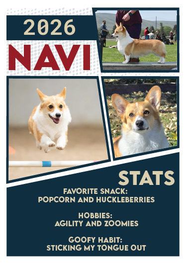 **CUSTOM TRADING CARDS**