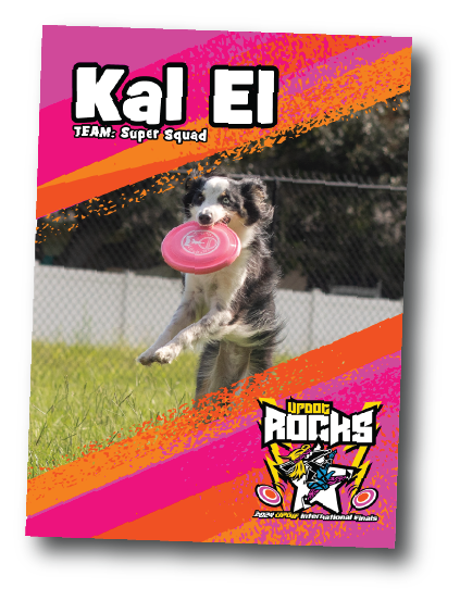**CUSTOM TRADING CARDS**