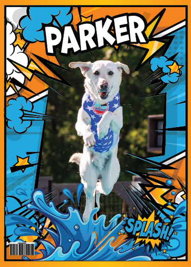 **CUSTOM TRADING CARDS**