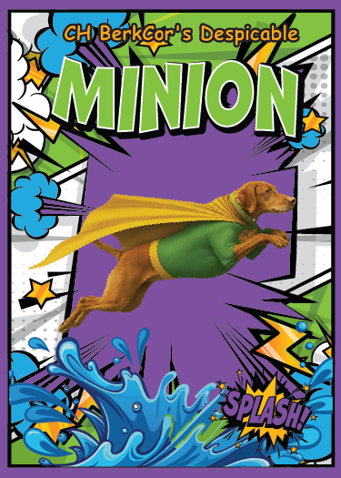 **CUSTOM TRADING CARDS**