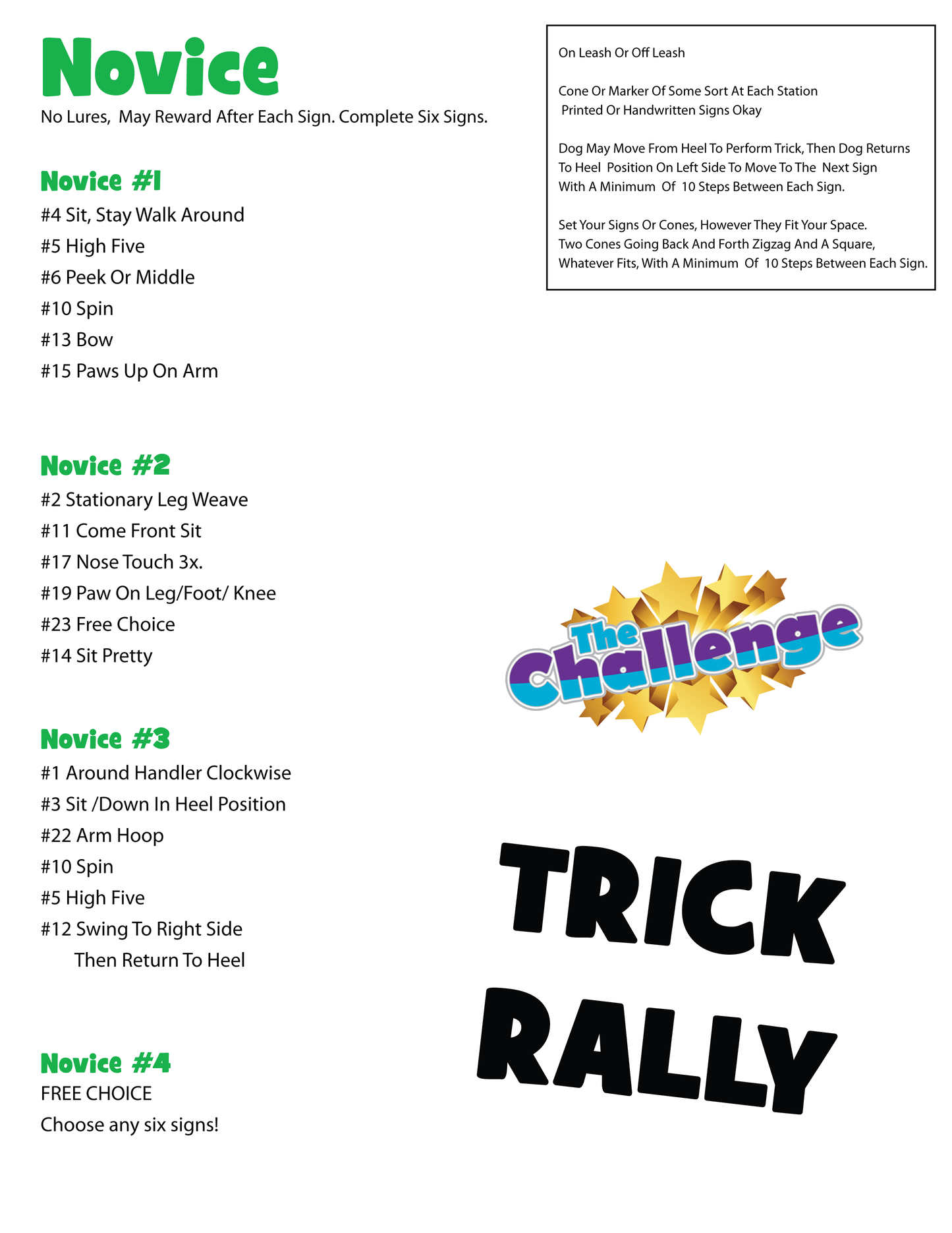 DZK9 CHALLENGE - RALLY FUN