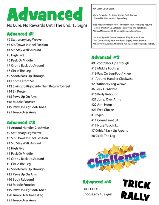 DZK9 CHALLENGE - RALLY FUN