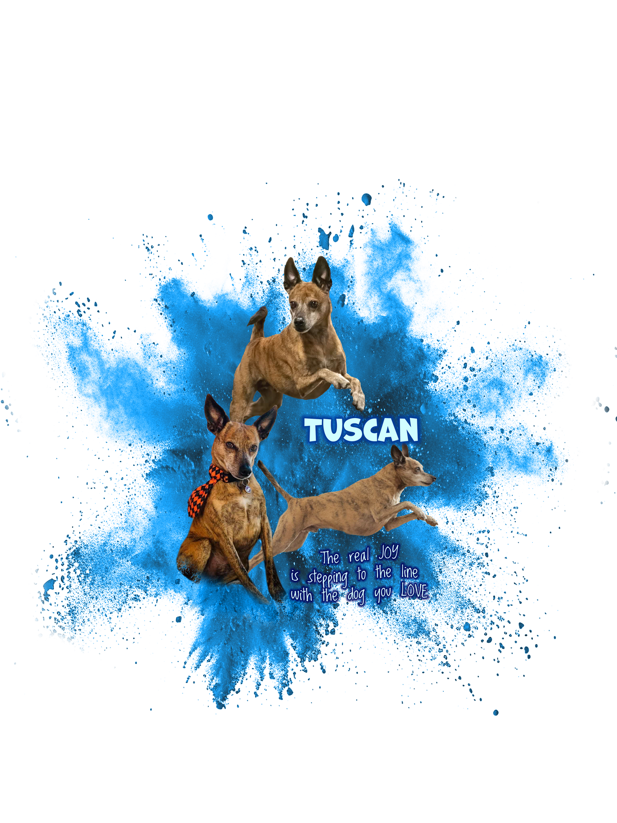 TUSCAN T-Shirts & More!