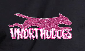 UNORTHODOGS BLACK MENS TEE  - GLITTER