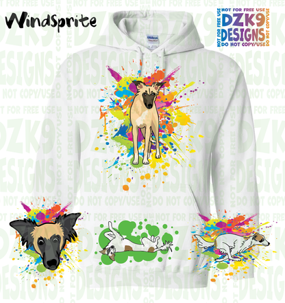 COLOR SPLASH  WINDSPRITE