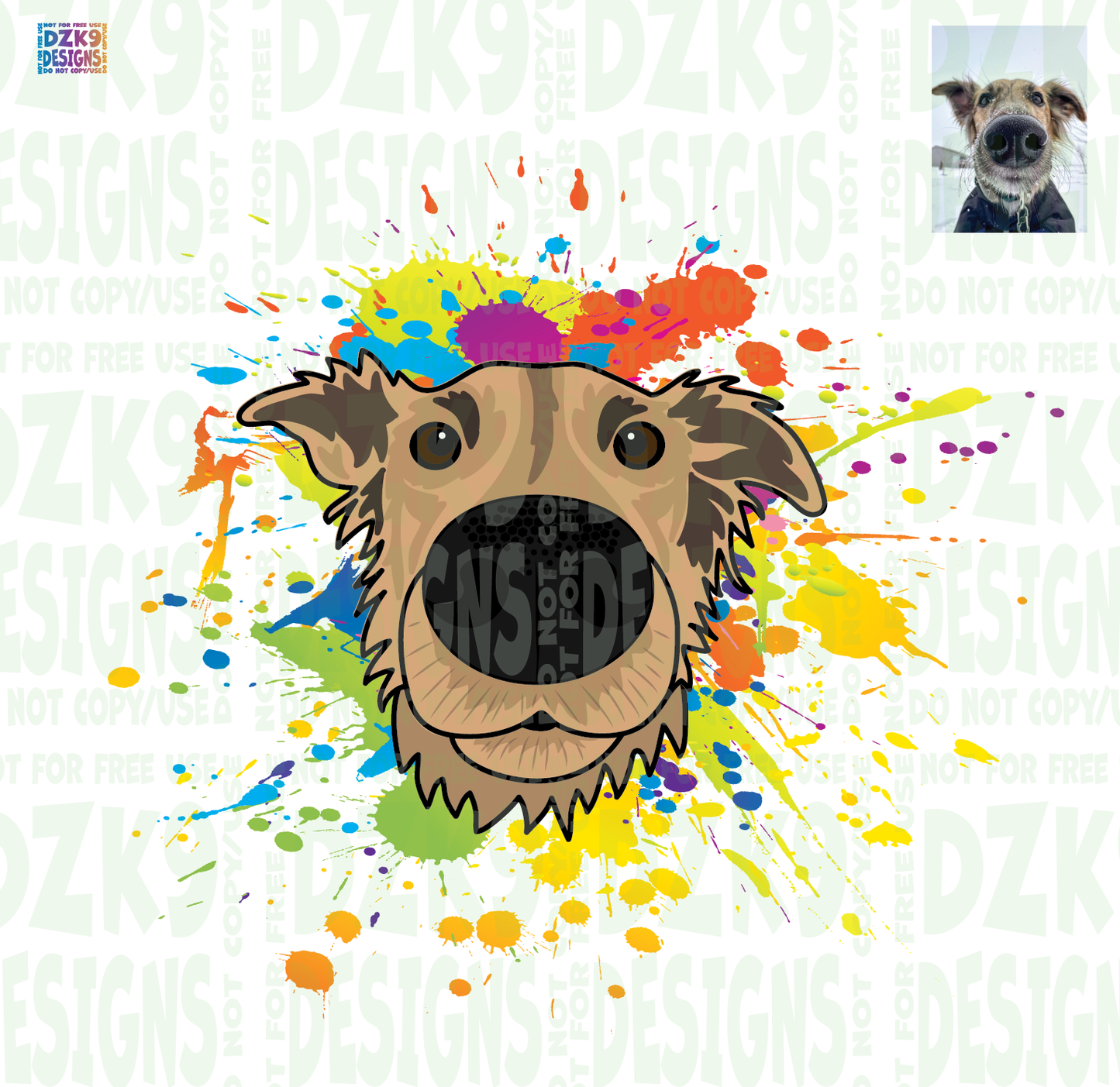 COLOR SPLASH  WINDSPRITE