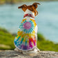 GROOVY PAWS  Pet Tank Top