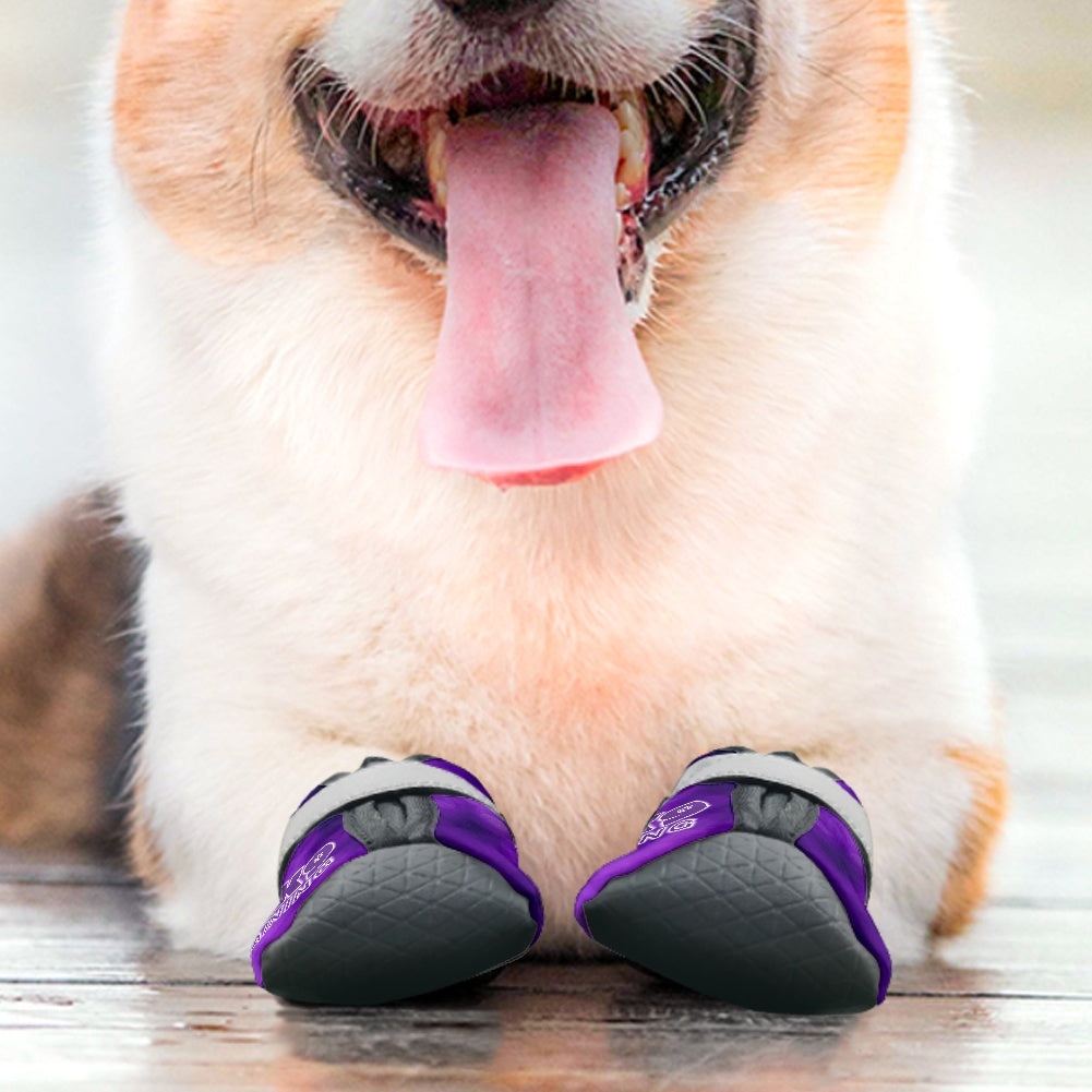 Dog Boots & Paw Protectors