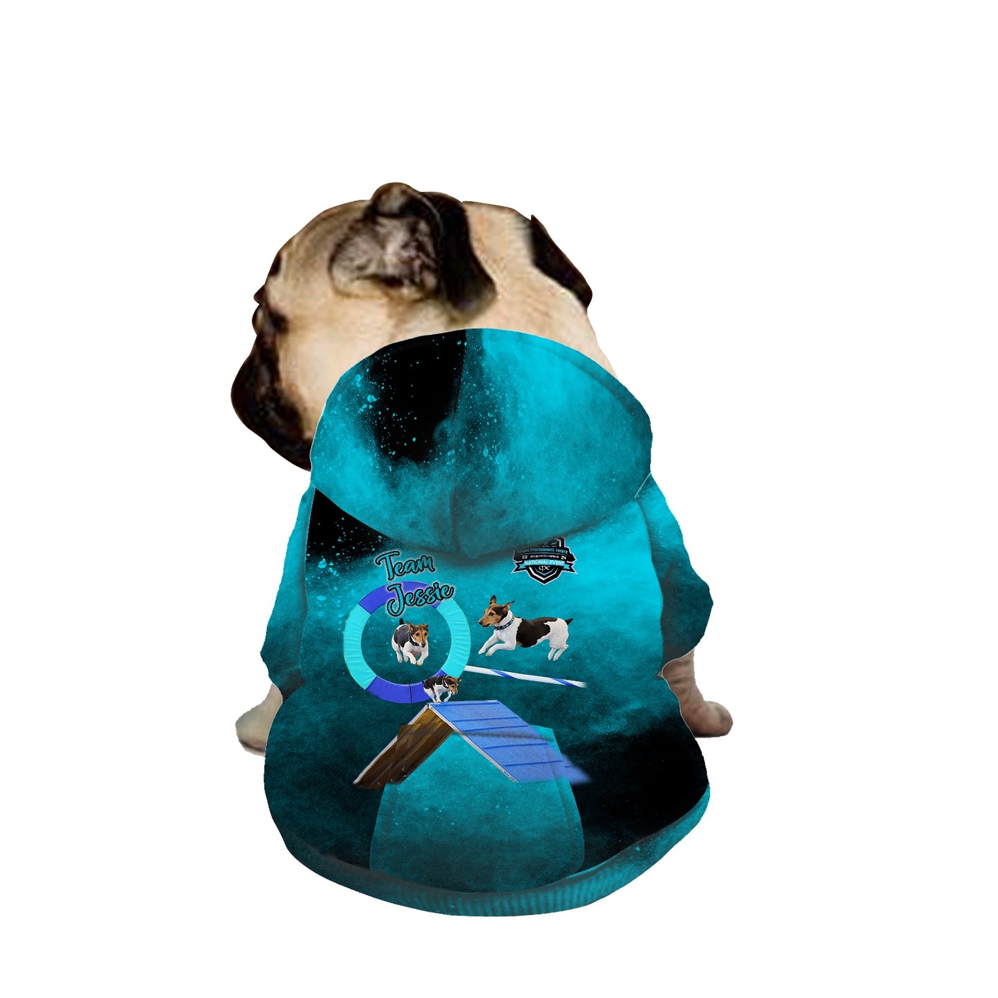 JESSE Pet Hooded Sweatshirt