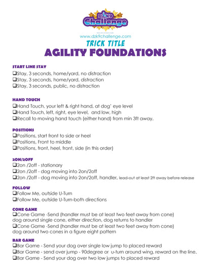 DZK9 CHALLENGE - AGILITY