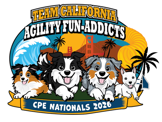 AGILITY FUN ADDICTS  - MORE FUN ITEMS!