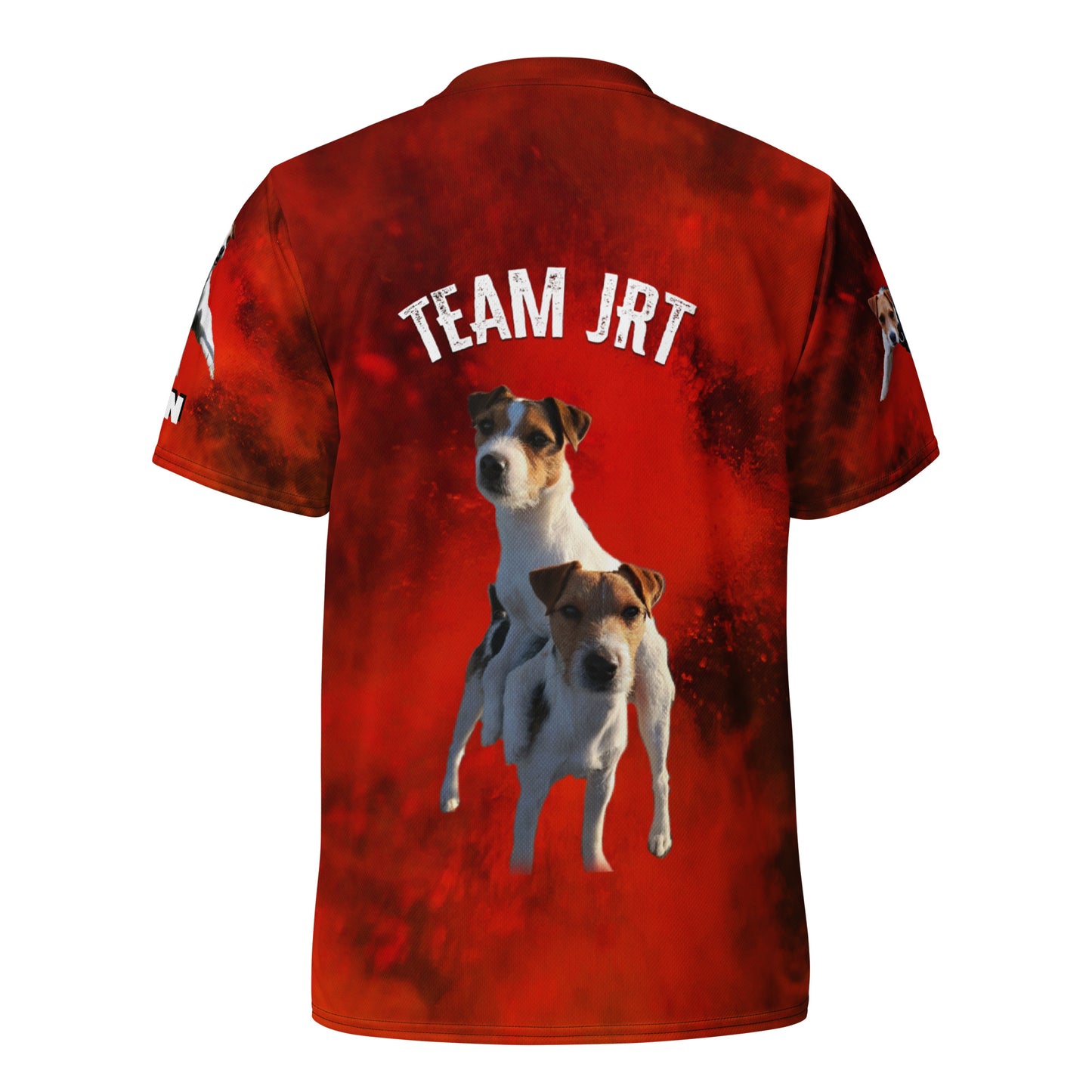 TEAM JRT Recycled unisex sports jersey