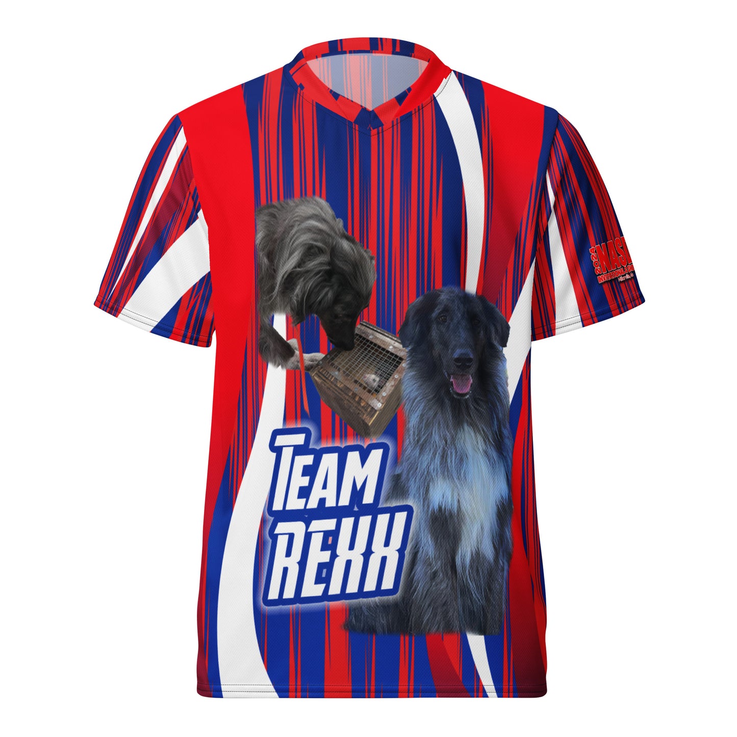 TEAM REXX Recycled unisex sports jersey