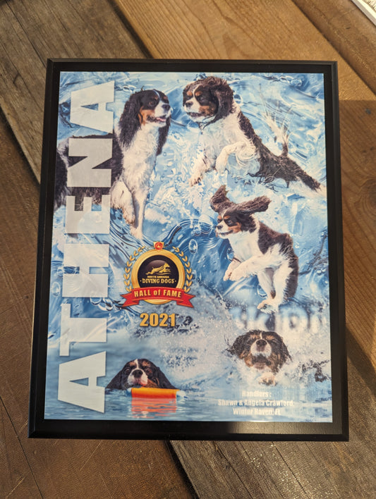 CUSTOM AWARD PLAQUES