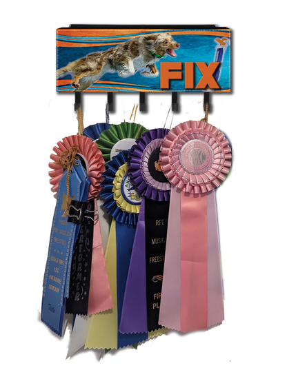 *3D RIBBON AWARD / LEASH HOLDER