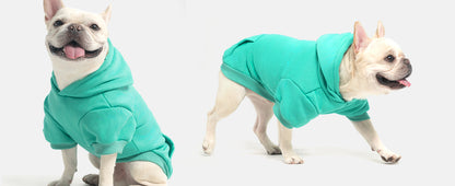 Custom Dog Hoodie