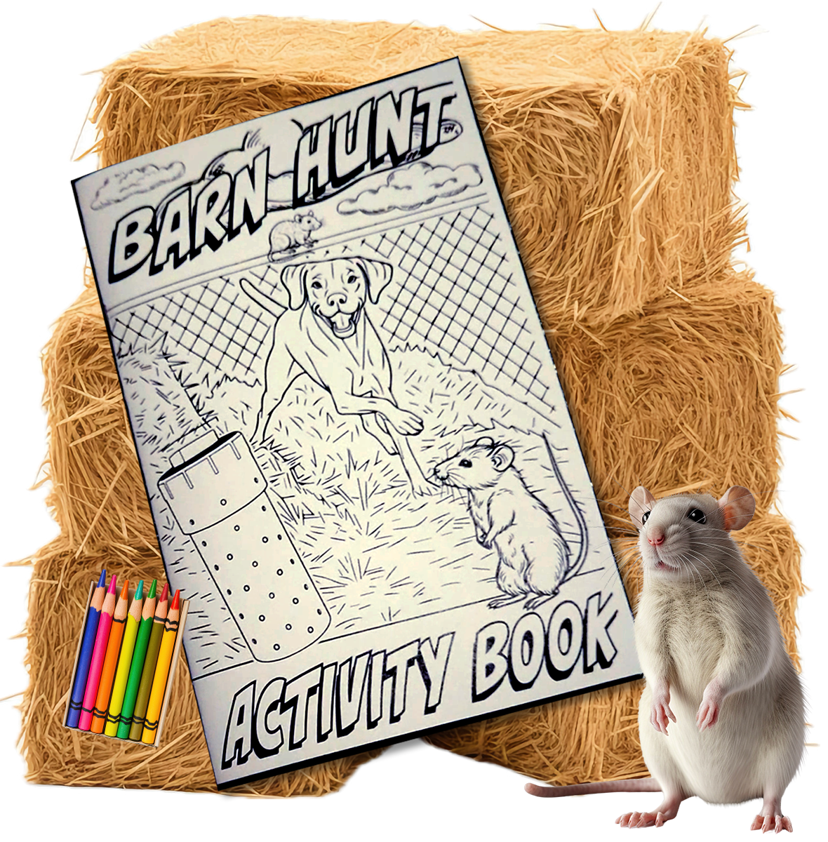 BARN HUNT MINI ACTIVITY BOOK