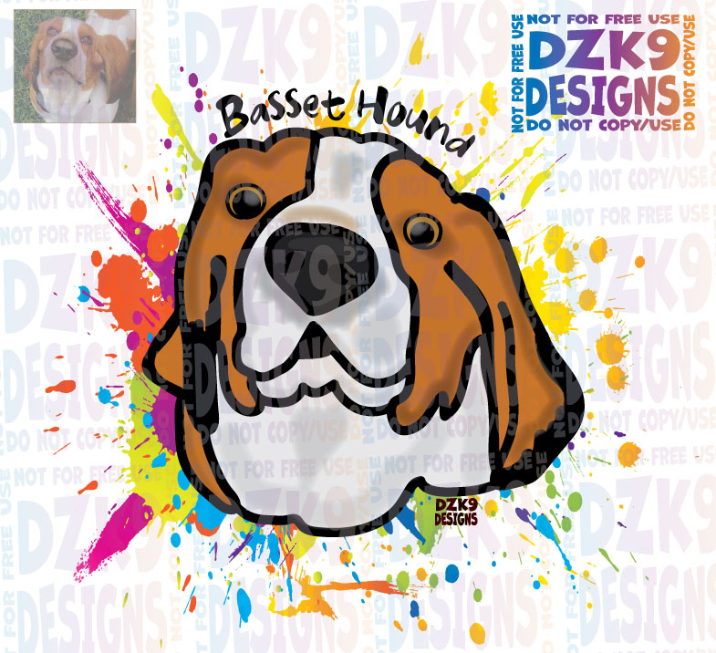 COLOR SPLASH  BASSETT