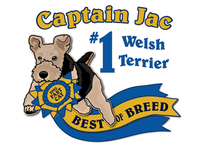 FAST CAT BEST OF BREED *HAND DRAWN* CUSTOM ARTWORK