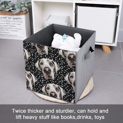 FACE w PAWS-n-BONES Folding Storage Bin