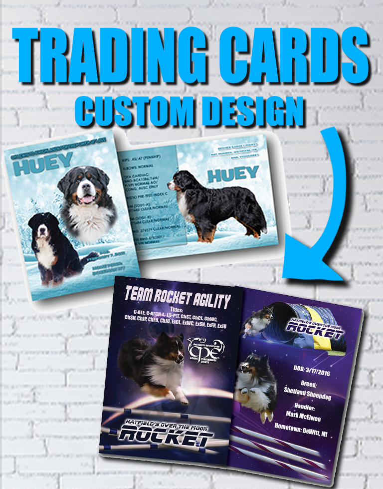 TRADING CARDS