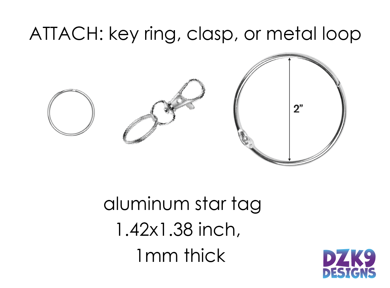 CPE AGILITY BRAG TAGS - METAL STAR TAG