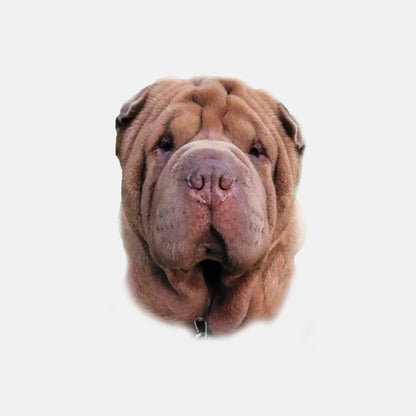 ARORA PILLOW