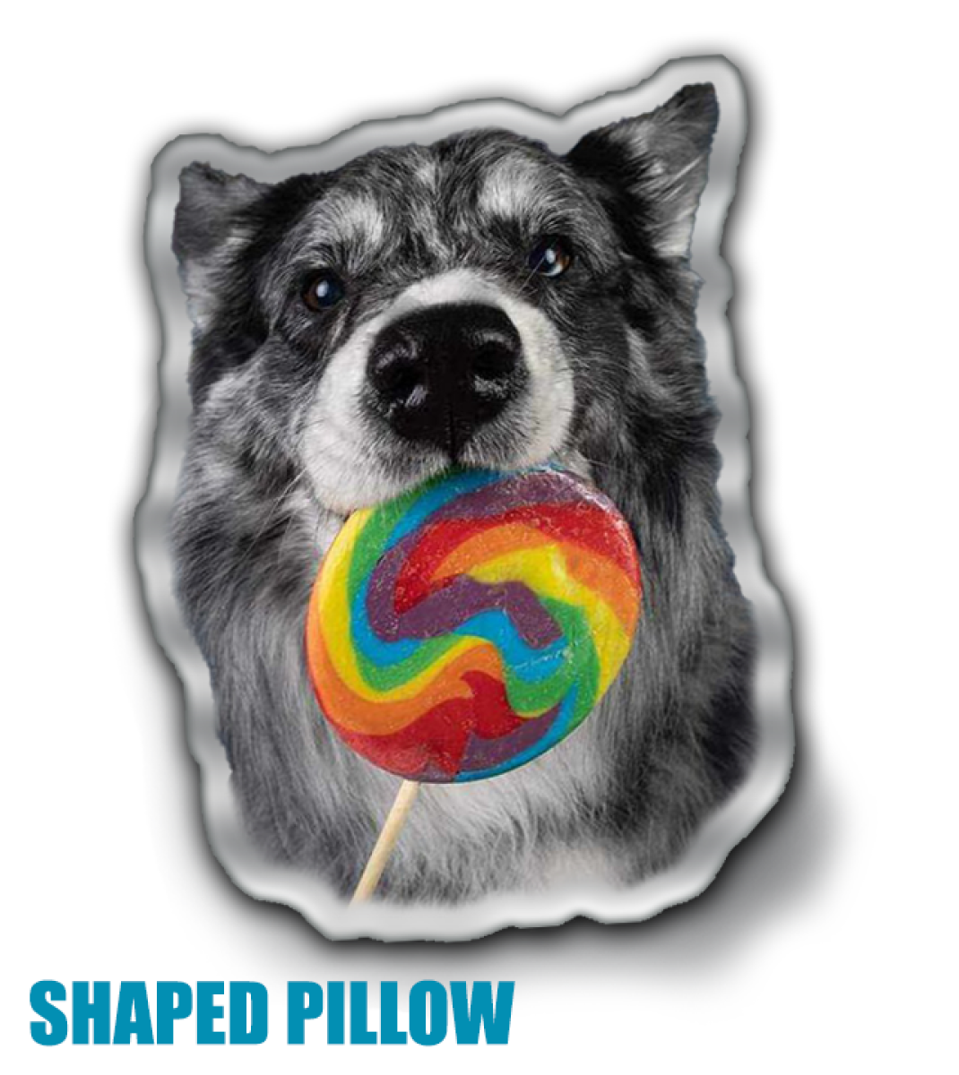SULLIVAN pillow