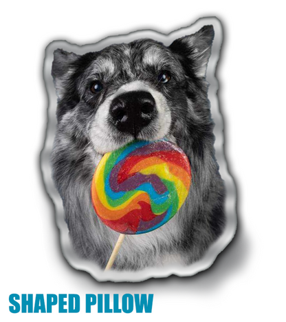 SULLIVAN pillow