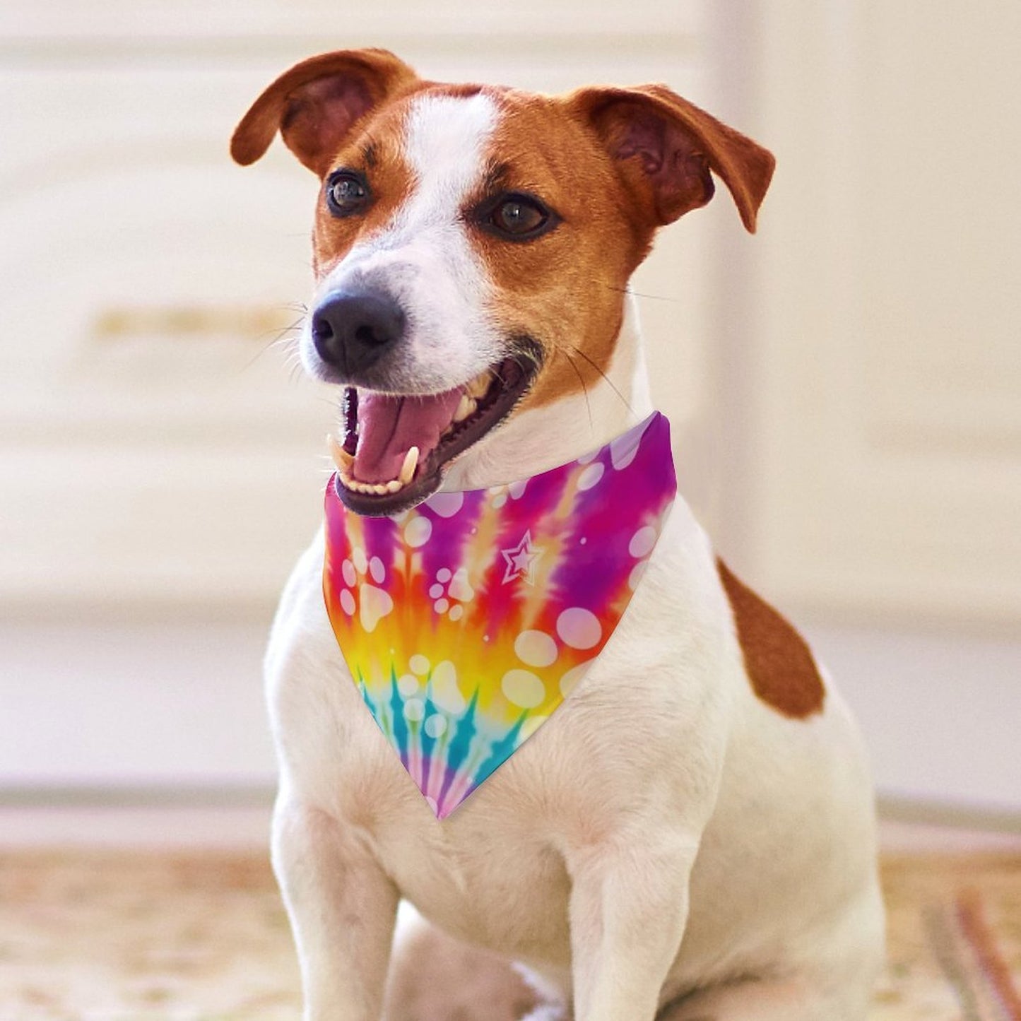 GROOVY PAWS  Dog Bandana