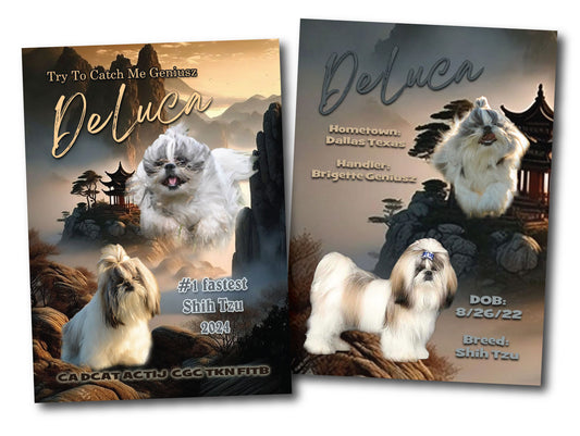 TRADING CARD - PRINTING SERVICE