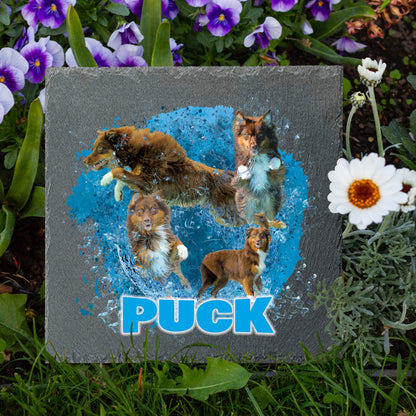 *AWARD / MEMORY PIECE : PUCK