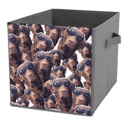 FOXY LADY _ LAB _ COLLAGE FACE DESIGN - Folding Storage Bin