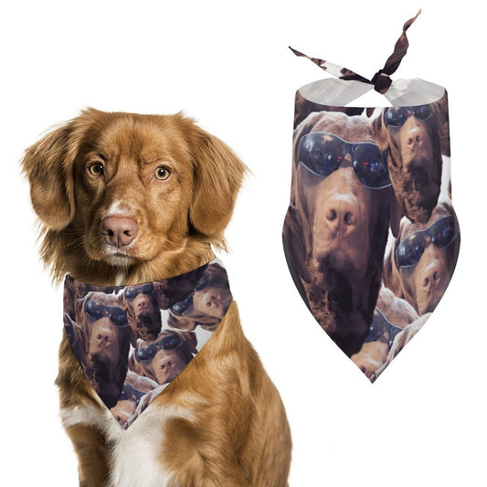 FOXY LADY _ LAB _ COLLAGE FACE DESIGN - customized dog bandana