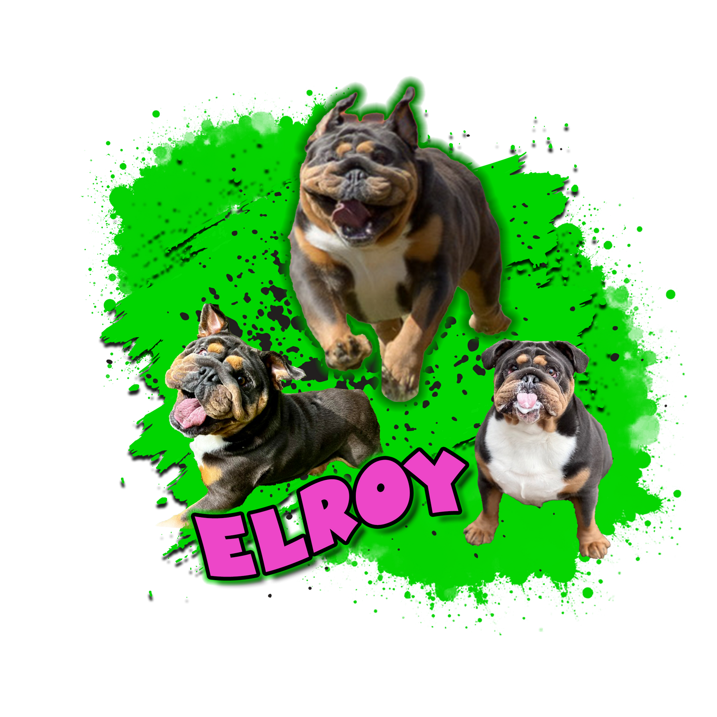 ELROY!