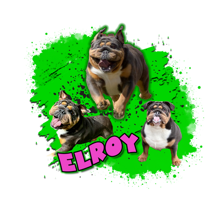 ELROY!