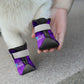 Dog Boots & Paw Protectors