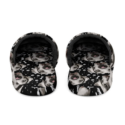 FACE w PAWS-n-BONES Mens Slippers