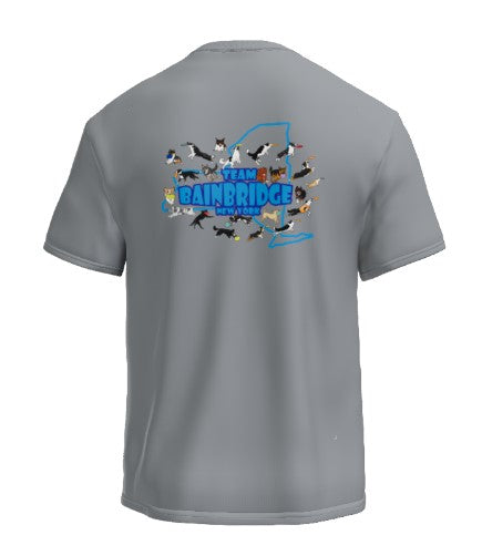 NEW YORK DISC DOGS - GRAVEL TEE