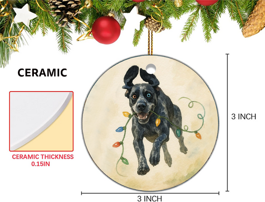 CUSTOM CIRCLE ORNAMENT