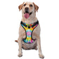 GROOVY PAWS Harness