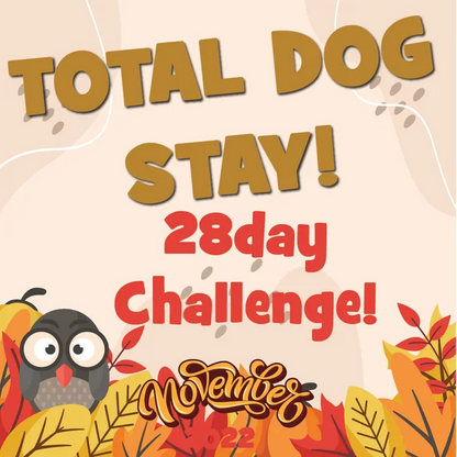 DZK9 CHALLENGE - MINI GAMES