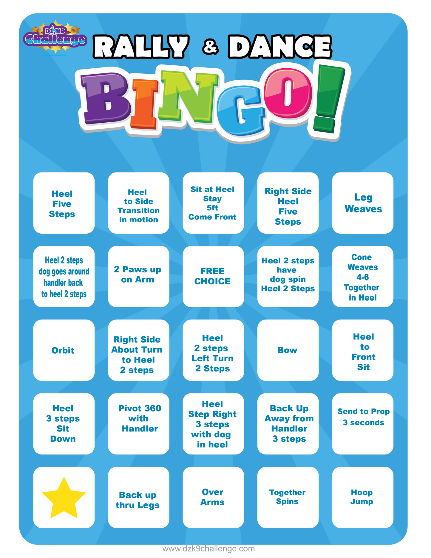 DZK9 CHALLENGE - BINGO!