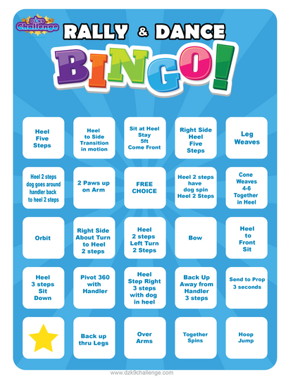 DZK9 CHALLENGE - BINGO!