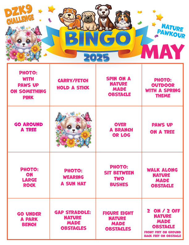 DZK9 CHALLENGE - MINI GAMES