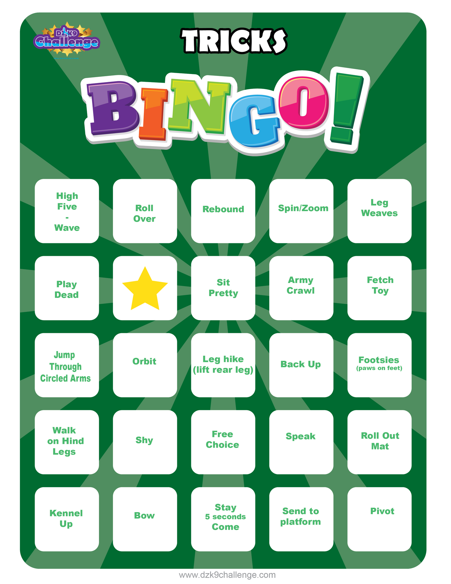 DZK9 CHALLENGE - BINGO!