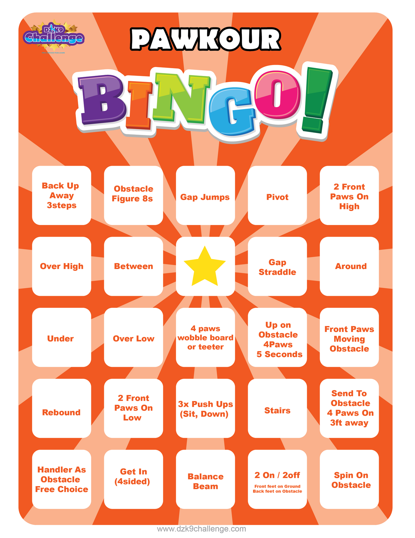 DZK9 CHALLENGE - BINGO!