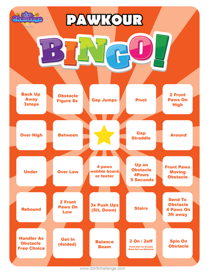 DZK9 CHALLENGE - BINGO!