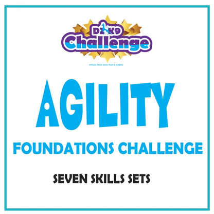 DZK9 CHALLENGE - MINI GAMES