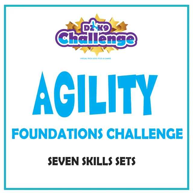 DZK9 CHALLENGE - MINI GAMES